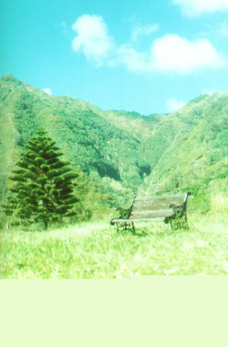 kalaau graphics logo.jpg